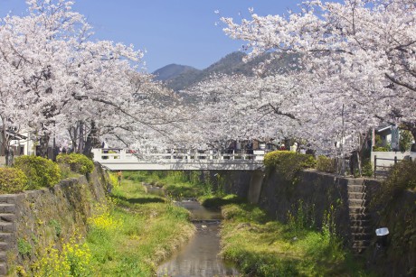 一の坂川