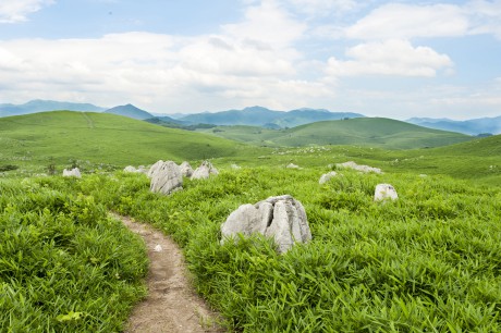 秋吉台