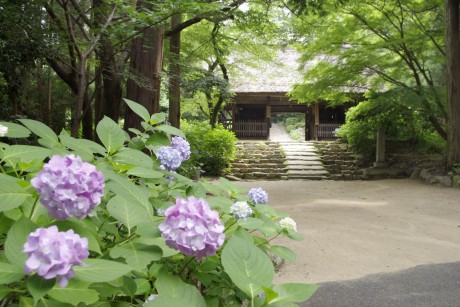 東大寺別院阿弥陀寺